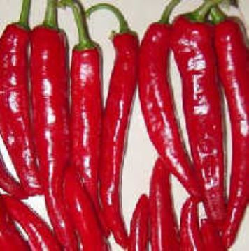 Capsicum Annuum Extract(Capsaicin ) 